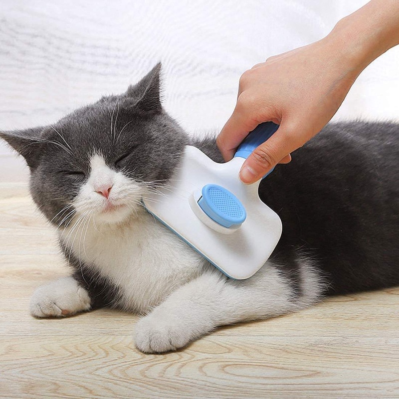 แปรงกำจัดขนสัตว์เลี้ยงแบบทำควา - Hair Care Is Self Care บทวิจารณ์และราคา